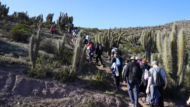 Municipio de Ovalle invita a trekking familiar hacia el Cerro Las Antenas