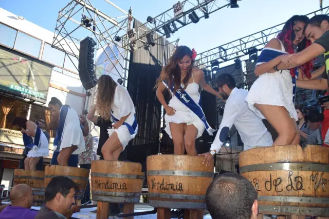 Invitan a las ovallinas a postular para Reina Embajadora de la Fiesta de la Vendimia de Ovalle 2025