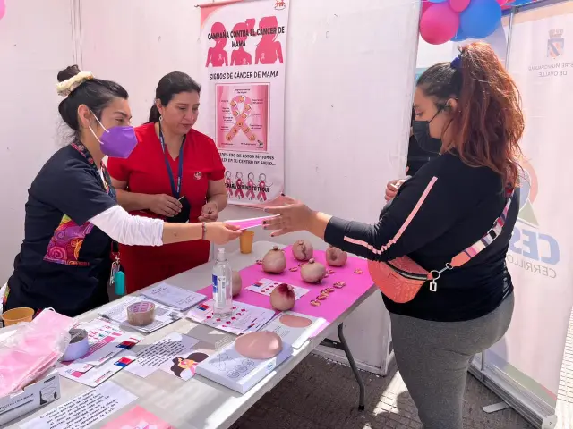 Ovalle conmemorará el Día Internacional de la Mujer con diversas actividades