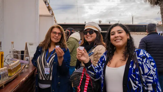 Celebración del Día Nacional del Pisco en Ovalle destaca por su éxito y alta convocatoria
