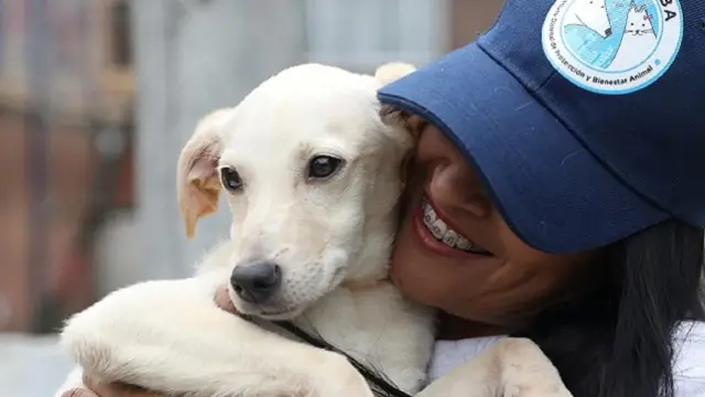 Municipalidad de Ovalle invita a taller gratuito sobre tenencia responsable de mascotas