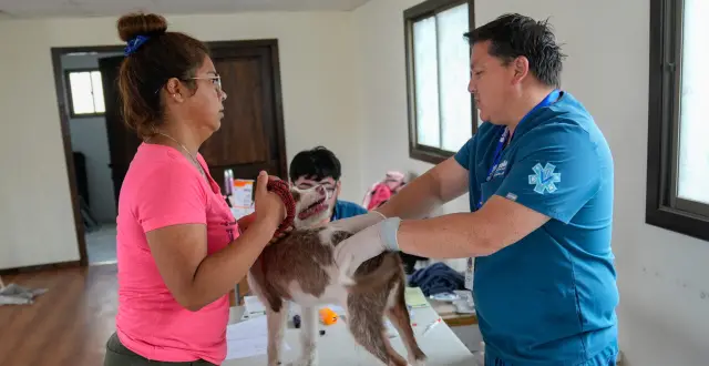 Exitoso operativo veterinario en la Población Magallanes Moure