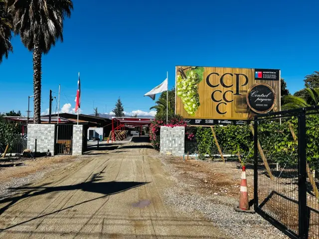 Fiesta de la Vendimia Ovalle 2026 se realizará por primera vez en la Cooperativa Control Pisquero