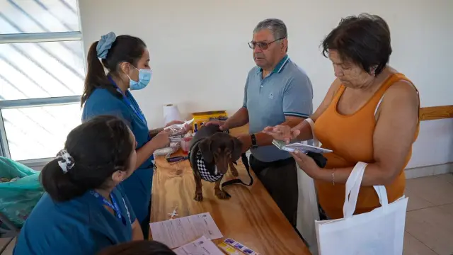 Masivo operativo veterinario municipal beneficia a mascotas y familias de la Población 8 de Julio